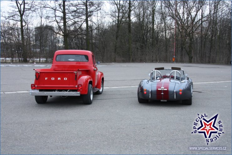 04-F100&cobra 2.JPG